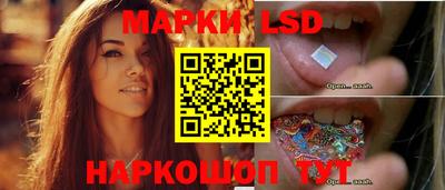 прущий лед Будённовск